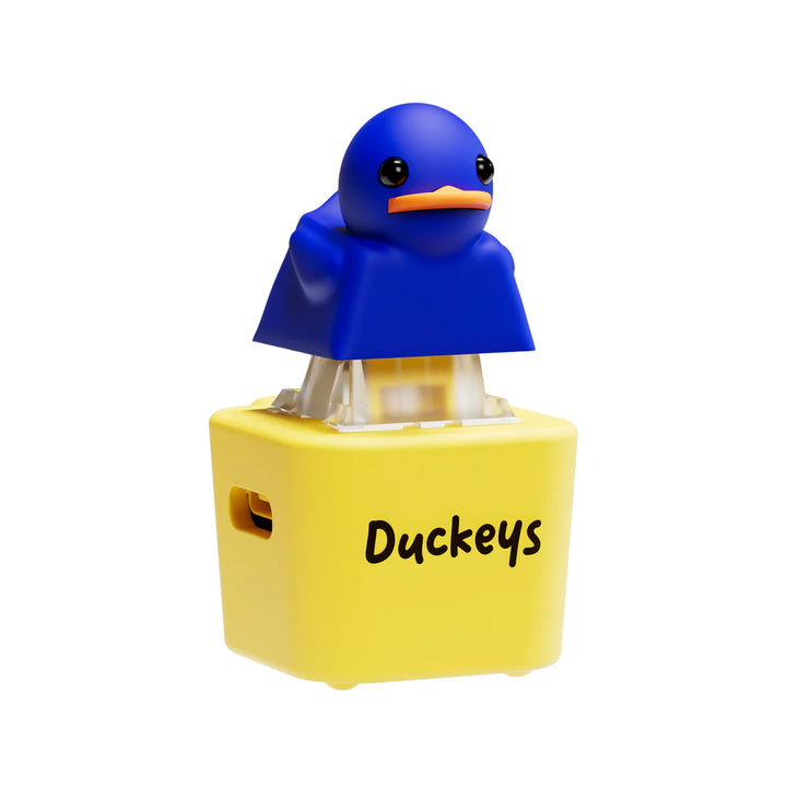 Quackey - Fidget Toy that Quacks! (Buy 1 Get 1 Free)