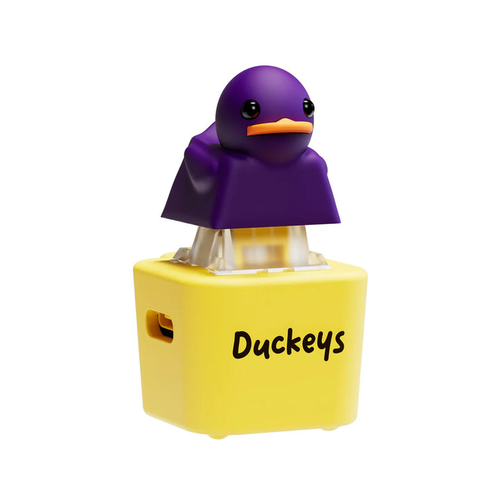 Quackey - Fidget Toy that Quacks! (Buy 1 Get 1 Free)