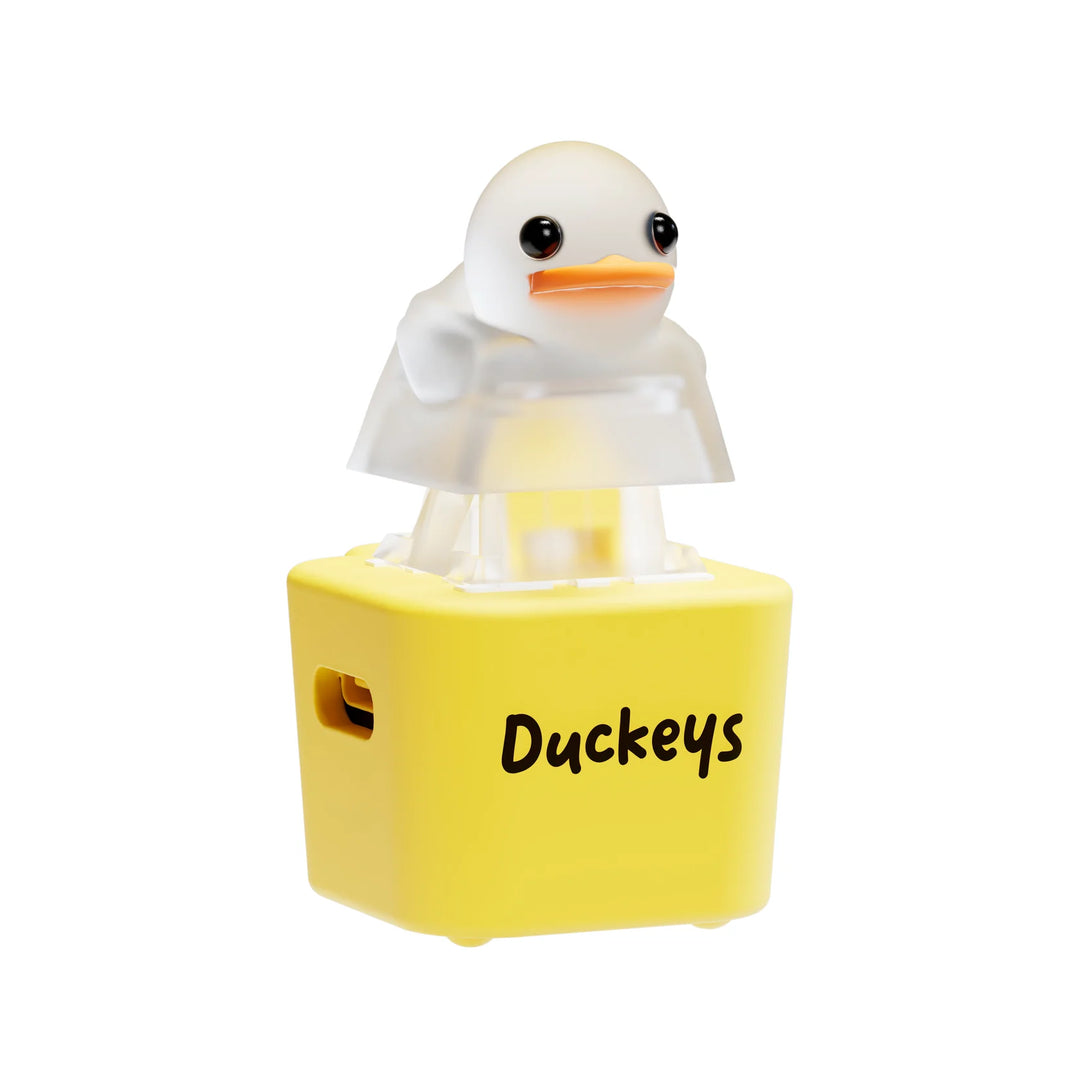 Quackey - Fidget Toy that Quacks! (Buy 1 Get 1 Free)