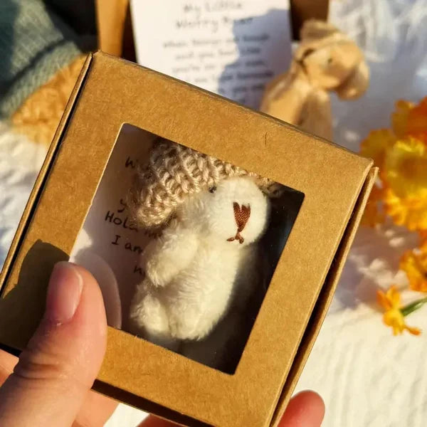 49% OFF💖Healing Doll Gift🎁Handmade Mini Plush Teddy Bear in Box